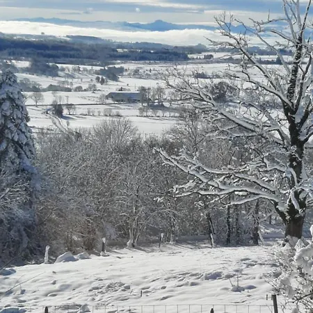 Holiday home La Verriere Du Sancy Picherande